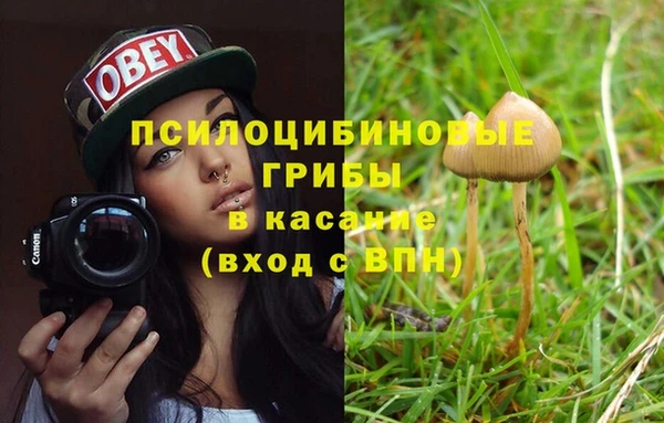 дживик Алексин
