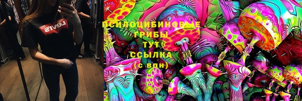 дживик Алексин