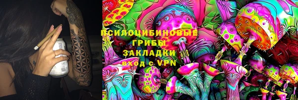 дживик Алексин