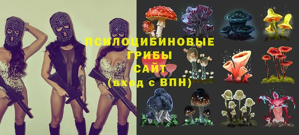 ALPHA PVP Алексеевка