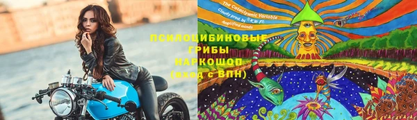 ALPHA PVP Алексеевка