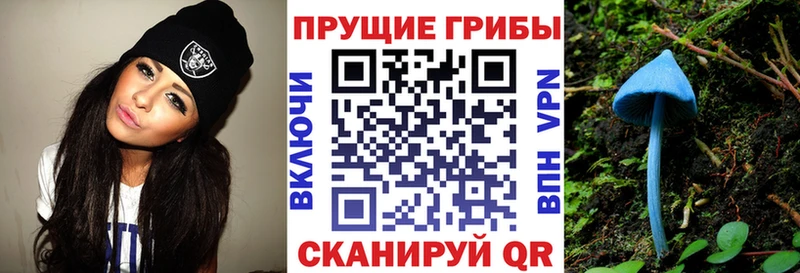 блэк спрут зеркало Йошкар-Ола Псилоцибиновые грибы Psilocybine cubensis купить наркотики сайты